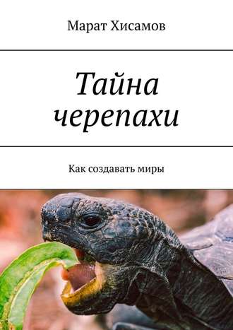 Марат Хисамов. Тайна черепахи. Как создавать миры