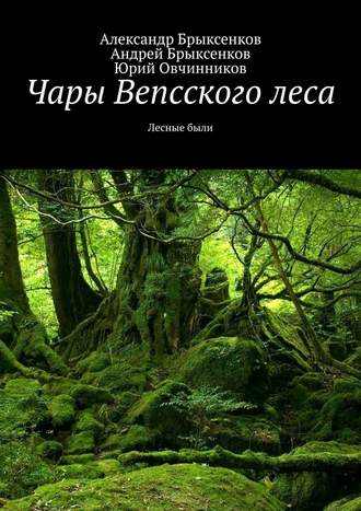 Александр Брыксенков. Чары Вепсского леса. Лесные были