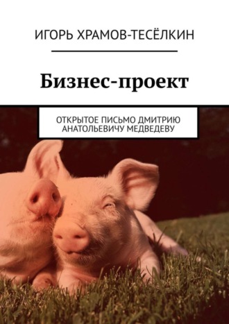Бизнес-проект. Открытое письмо Дмитрию Анатольевичу Медведеву. 