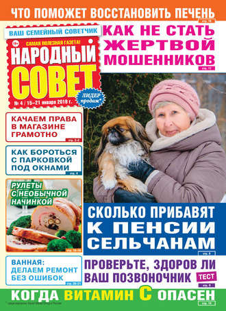 Народный совет №04/2019. Группа авторов
