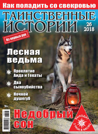 Группа авторов. Таинственные истории №26/2018