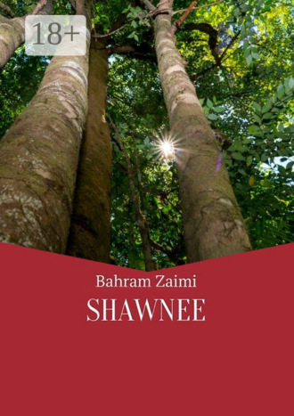 Bahram Zaimi. Shawnee