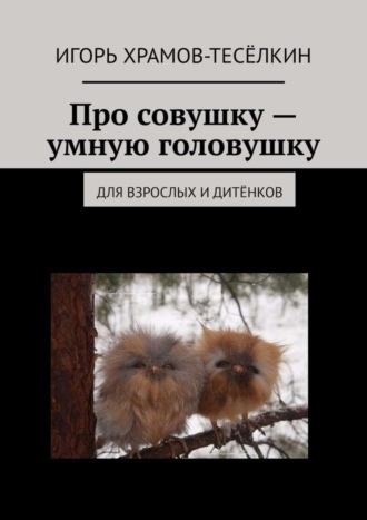 Про совушку – умную головушку. Для взрослых и дитёнков. 