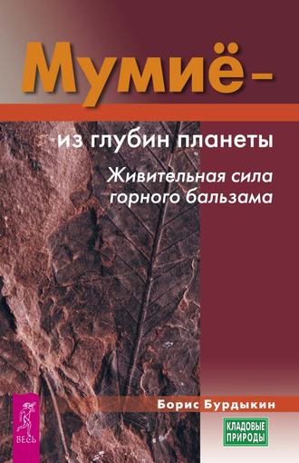 Мумие – из глубин планеты. Живительная сила горного бальзама. Борис Бурдыкин
