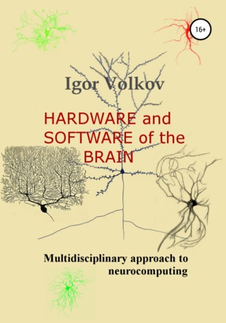 Igor Vladimirovitz Volkov. Hardware and software of the brain