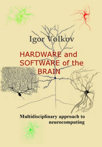 Igor Vladimirovitz Volkov. Hardware and software of the brain