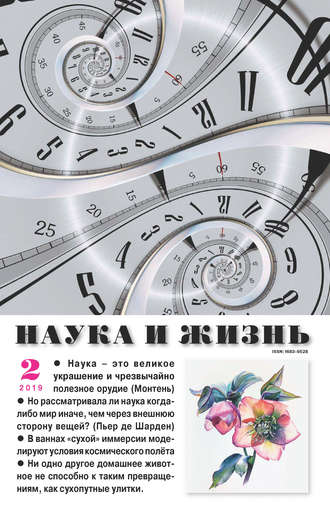 Наука и жизнь №02/2019. Группа авторов