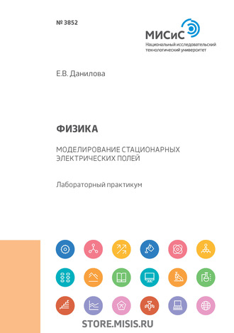 Физика. Моделирование стационарных электрических полей. Е. В. Данилова