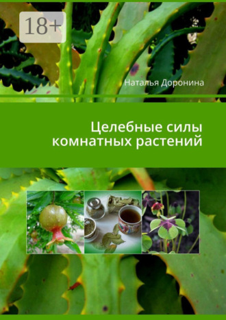 Целебные силы комнатных растений. Наталья Доронина