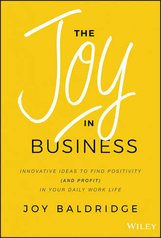 Joy Baldridge J.D.. The Joy in Business. Innovative Ideas to Find Positivity (and Profit) in Your Daily Work Life