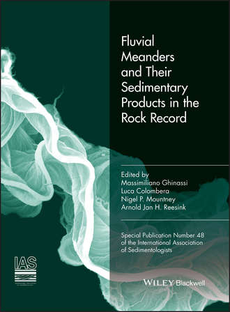 Группа авторов. Fluvial Meanders and Their Sedimentary Products in the Rock Record (IAS SP 48)
