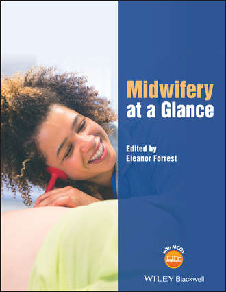 Eleanor  Forrest. Midwifery at a Glance
