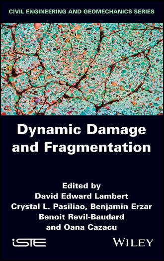 Oana  Cazacu. Dynamic Damage and Fragmentation