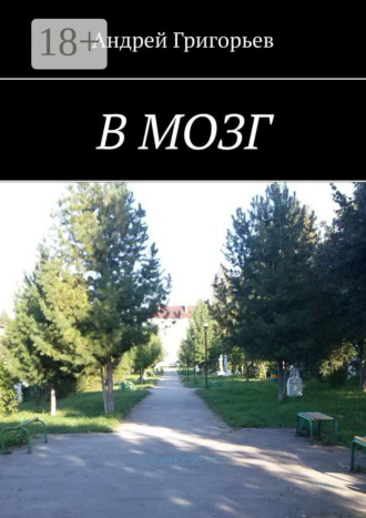 В мозг. 