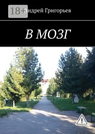 В мозг. 