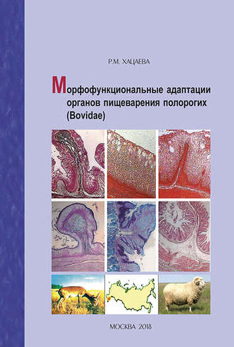 Р. М. Хацаева. Морфофункциональные адаптации органов пищеварения полорогих (Bovidae)