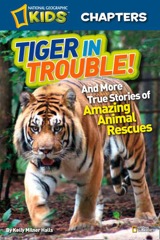 Kelly Halls Milner. National Geographic Kids Chapters: Tiger in Trouble!: and More True Stories of Amazing Animal Rescues