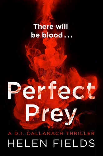 Helen  Fields. Perfect Prey: The twisty new crime thriller that will keep you up all night