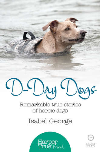 Isabel  George. D-day Dogs: Remarkable true stories of heroic dogs