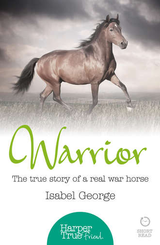 Isabel  George. Warrior: The true story of the real war horse