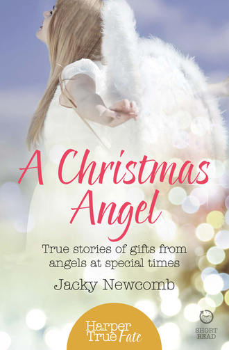 Jacky  Newcomb. A Christmas Angel: True Stories of Gifts from Angels at Special Times