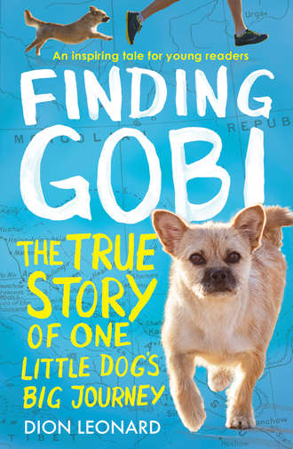 Dion  Leonard. Finding Gobi: The true story of one little dog’s big journey