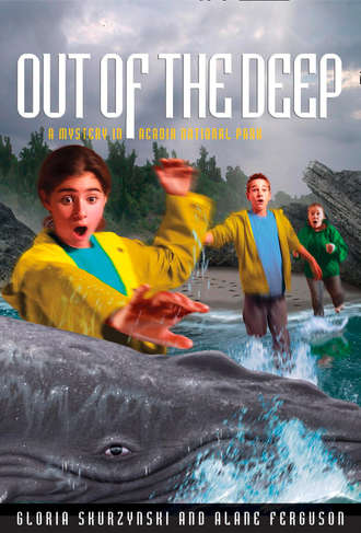 Gloria  Skurzynski. Mysteries in Our National Parks: Out of the Deep: A Mystery in Acadia National Park