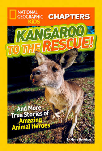 Moira Donohue Rose. National Geographic Kids Chapters: Kangaroo to the Rescue!: And More True Stories of Amazing Animal Heroes