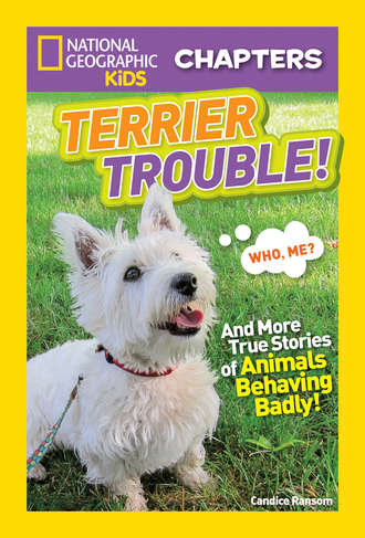 Candice  Ransom. National Geographic Kids Chapters: Terrier Trouble!