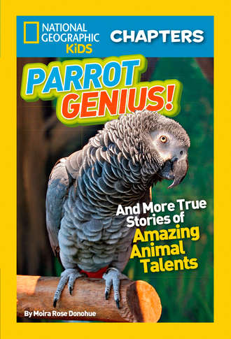 Moira Donohue Rose. National Geographic Kids Chapters: Parrot Genius: And More True Stories of Amazing Animal Talents