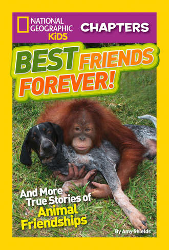 Amy  Shields. National Geographic Kids Chapters: Best Friends Forever: And More True Stories of Animal Friendships