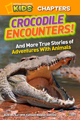 Brady  Barr. National Geographic Kids Chapters: Crocodile Encounters: and More True Stories of Adventures with Animals
