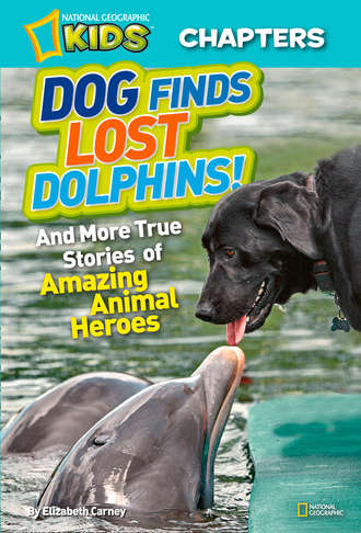Elizabeth  Carney. National Geographic Kids Chapters: Dog Finds Lost Dolphins: And More True Stories of Amazing Animal Heroes