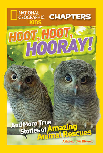 Ashlee Blewett Brown. National Geographic Kids Chapters: Hoot, Hoot, Hooray!: And More True Stories of Amazing Animal Rescues