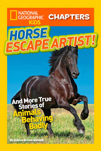 Ashlee Blewett Brown. National Geographic Kids Chapters: Horse Escape Artist: And More True Stories of Animals Behaving Badly
