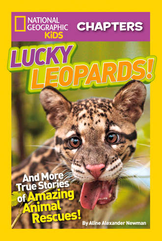Aline Newman Alexander. National Geographic Kids Chapters: Lucky Leopards: And More True Stories of Amazing Animal Rescues
