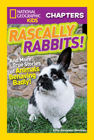 Aline Newman Alexander. National Geographic Kids Chapters: Rascally Rabbits!: And More True Stories of Animals Behaving Badly