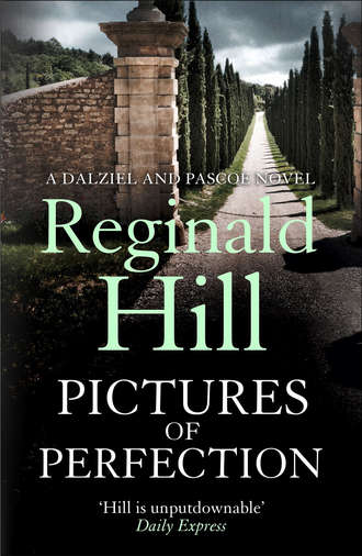 Reginald  Hill. Pictures of Perfection