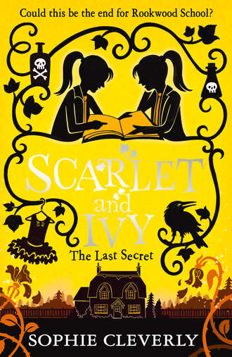 Sophie  Cleverly. The Last Secret