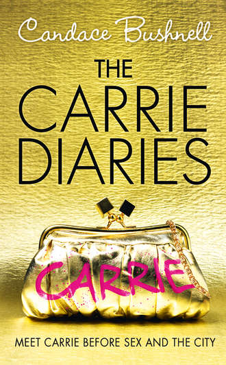Кэндес Бушнелл. The Carrie Diaries