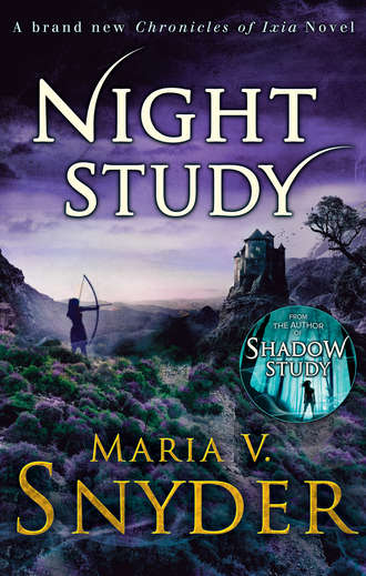 Maria Snyder V.. Night Study