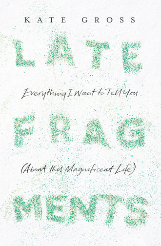 Kate  Gross. Late Fragments: Everything I Want to Tell You