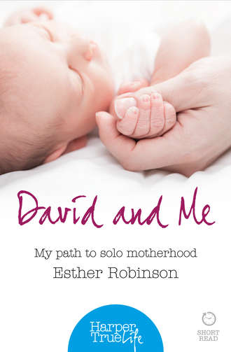 Esther  Robinson. David and Me: My path to solo motherhood