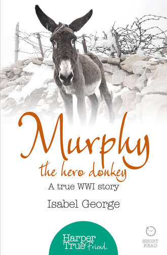 Isabel  George. Murphy the Hero Donkey: A true WW1 story