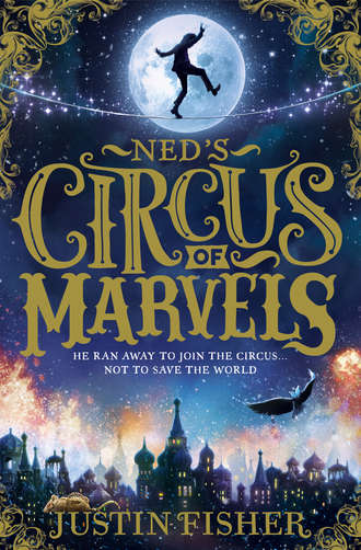 Justin  Fisher. Ned’s Circus of Marvels