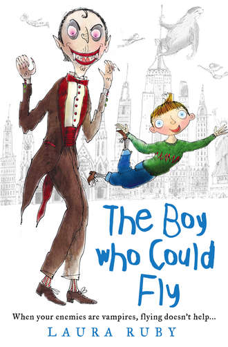 Laura  Ruby. The Boy Who Could Fly