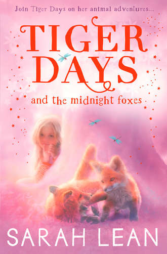 Sarah  Lean. The Midnight Foxes