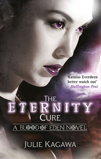 Julie Kagawa. The Eternity Cure