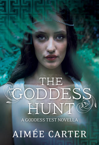 Aimee  Carter. The Goddess Hunt