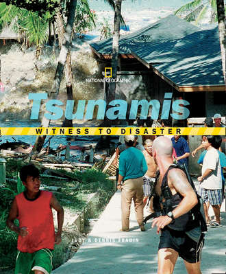 National Kids Geographic. Witness to Disaster: Tsunamis